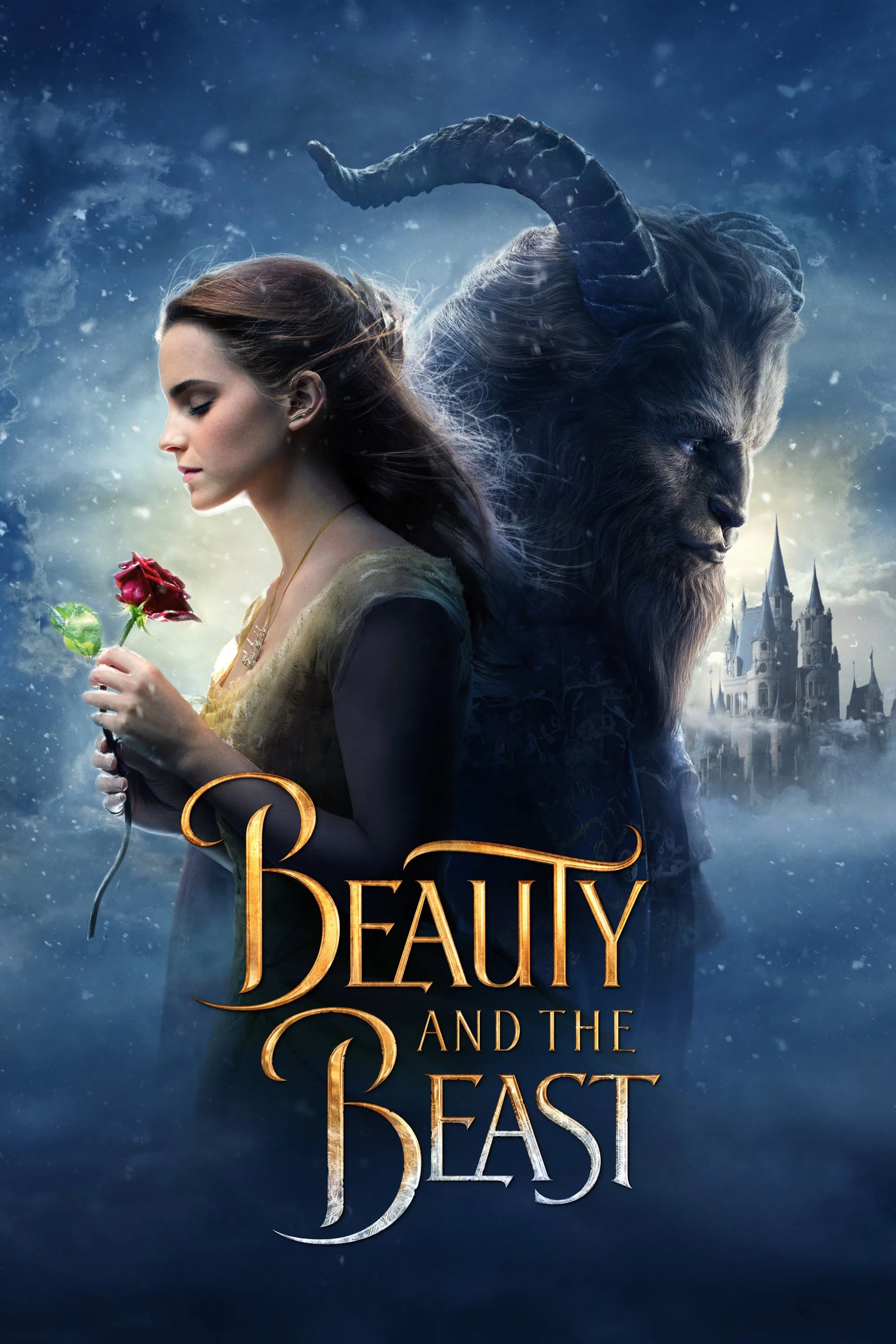 Beauty and the Beast project poster
